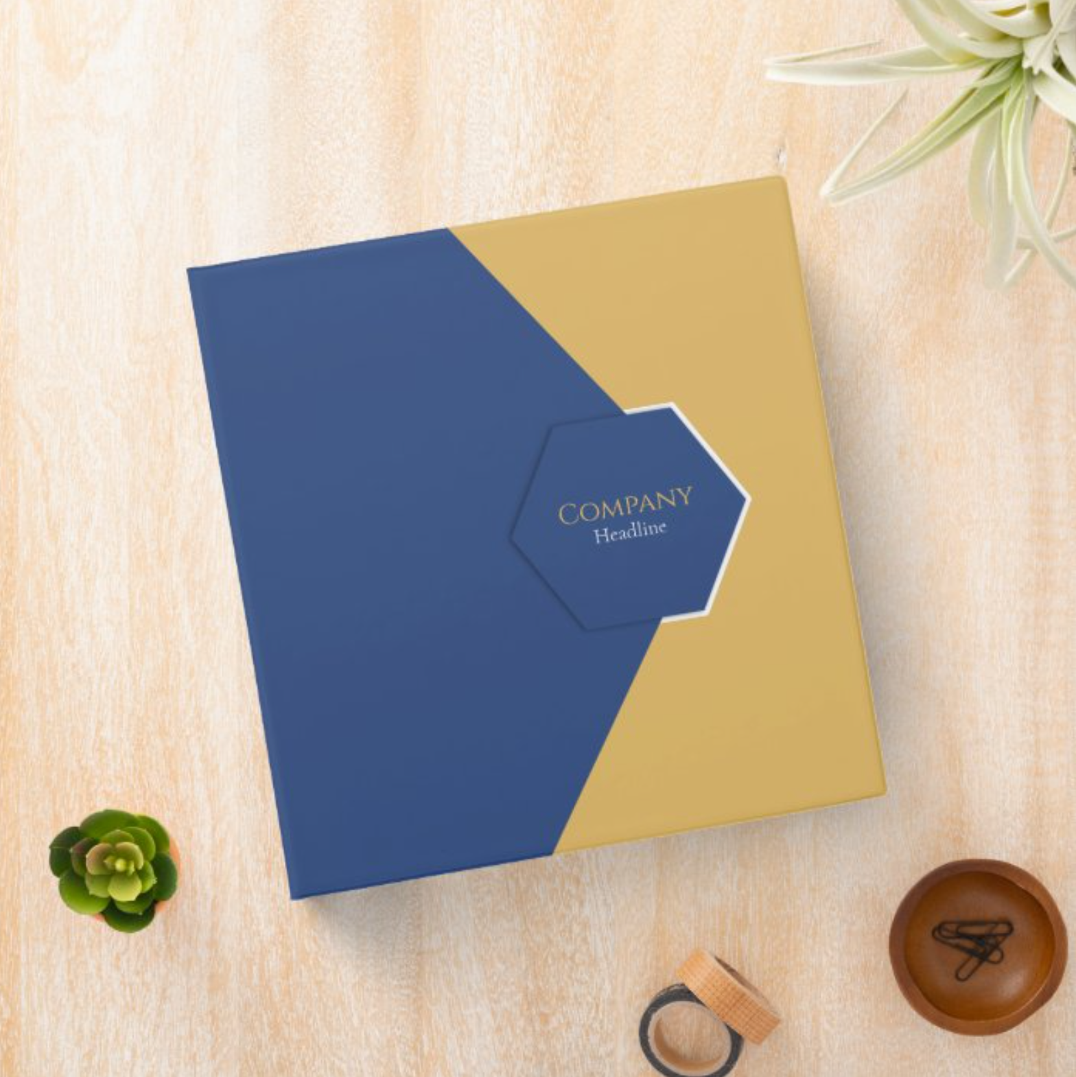 Corporate Blue Binder